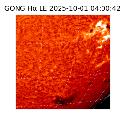 gong - 2025-10-01T04:00:42