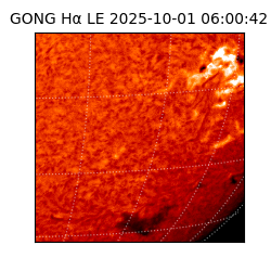 gong - 2025-10-01T06:00:42