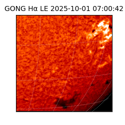 gong - 2025-10-01T07:00:42