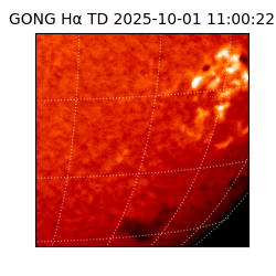 gong - 2025-10-01T11:00:22