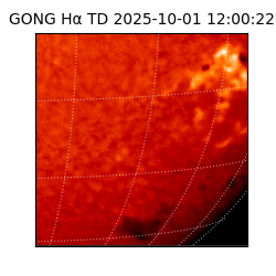 gong - 2025-10-01T12:00:22