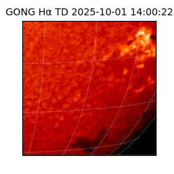 gong - 2025-10-01T14:00:22