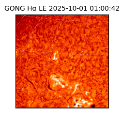 gong - 2025-10-01T01:00:42