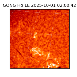 gong - 2025-10-01T02:00:42