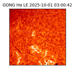 gong - 2025-10-01T03:00:42