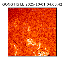 gong - 2025-10-01T04:00:42