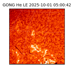 gong - 2025-10-01T05:00:42