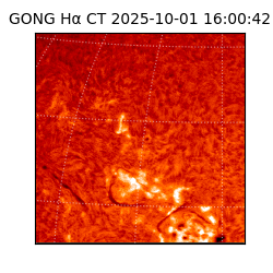 gong - 2025-10-01T16:00:42