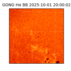 gong - 2025-10-01T20:00:02