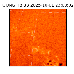 gong - 2025-10-01T23:00:02