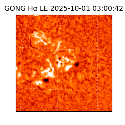 gong - 2025-10-01T03:00:42