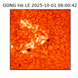 gong - 2025-10-01T06:00:42