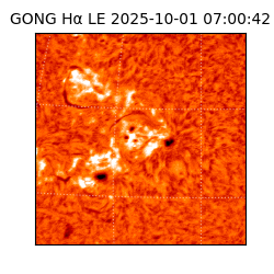 gong - 2025-10-01T07:00:42