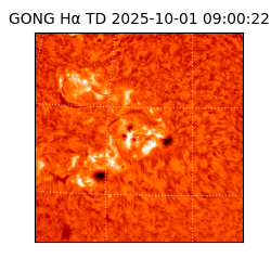 gong - 2025-10-01T09:00:22