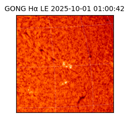 gong - 2025-10-01T01:00:42