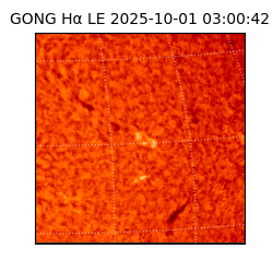 gong - 2025-10-01T03:00:42