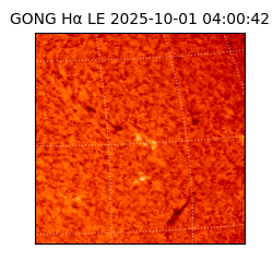 gong - 2025-10-01T04:00:42