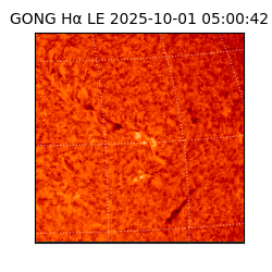 gong - 2025-10-01T05:00:42