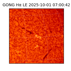 gong - 2025-10-01T07:00:42