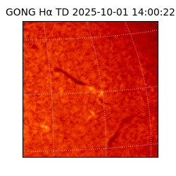 gong - 2025-10-01T14:00:22