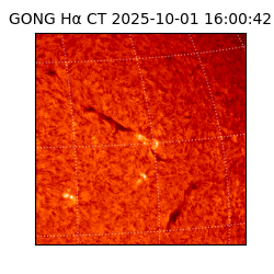 gong - 2025-10-01T16:00:42