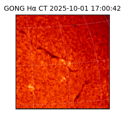gong - 2025-10-01T17:00:42
