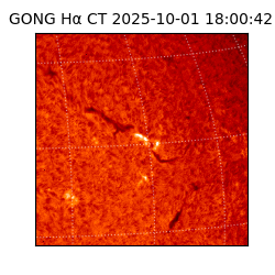 gong - 2025-10-01T18:00:42
