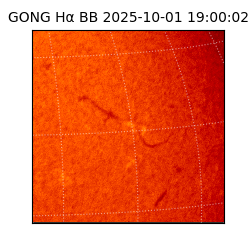 gong - 2025-10-01T19:00:02