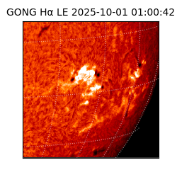 gong - 2025-10-01T01:00:42