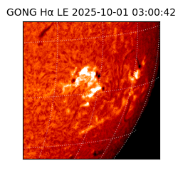 gong - 2025-10-01T03:00:42