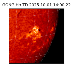 gong - 2025-10-01T14:00:22