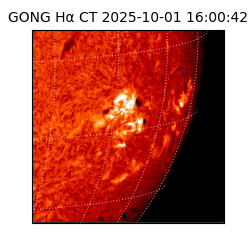 gong - 2025-10-01T16:00:42