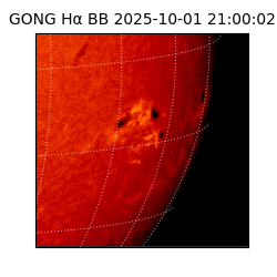 gong - 2025-10-01T21:00:02