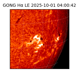 gong - 2025-10-01T04:00:42