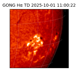 gong - 2025-10-01T11:00:22