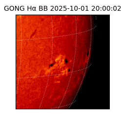 gong - 2025-10-01T20:00:02