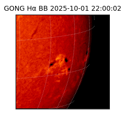 gong - 2025-10-01T22:00:02
