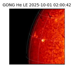 gong - 2025-10-01T02:00:42