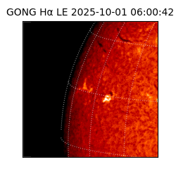 gong - 2025-10-01T06:00:42