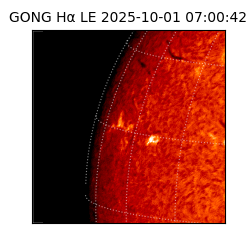 gong - 2025-10-01T07:00:42