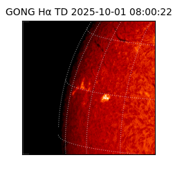 gong - 2025-10-01T08:00:22