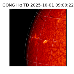 gong - 2025-10-01T09:00:22
