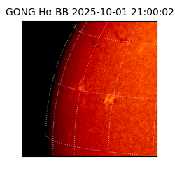 gong - 2025-10-01T21:00:02