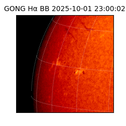 gong - 2025-10-01T23:00:02