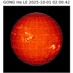 gong - 2025-10-01T02:00:42