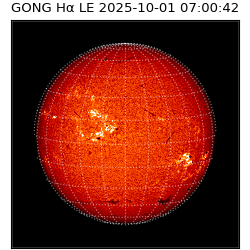 gong - 2025-10-01T07:00:42