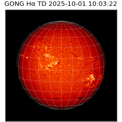 gong - 2025-10-01T10:03:22