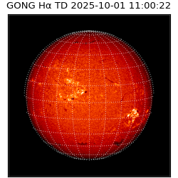 gong - 2025-10-01T11:00:22