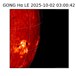 gong - 2025-10-02T03:00:42
