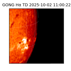gong - 2025-10-02T11:00:22